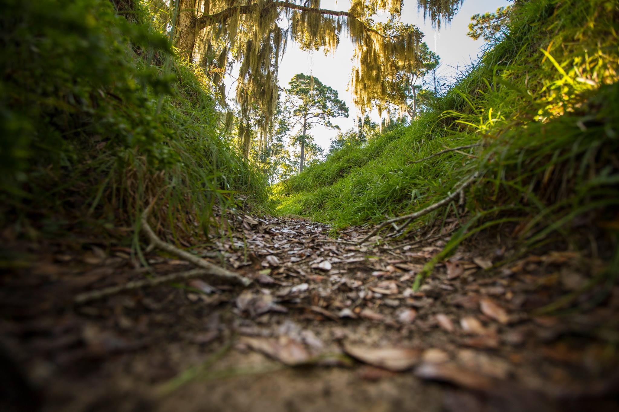 savannah fort mcallister historic park