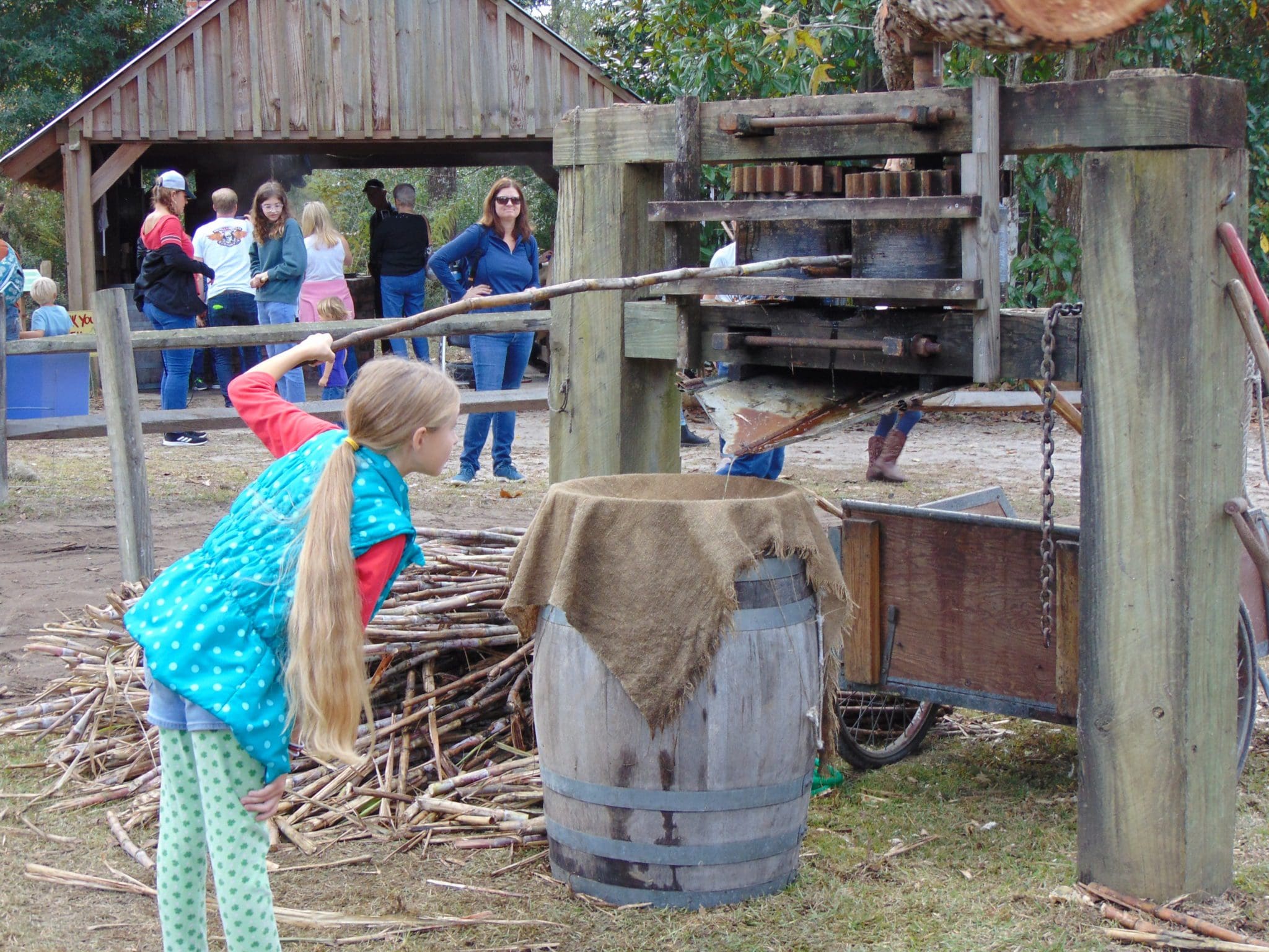 Oatland Island Wildlife Center Savannah