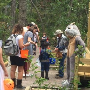 Oatland Island Wildlife Center Savannah