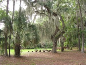 Skidaway Island State Park Savannah