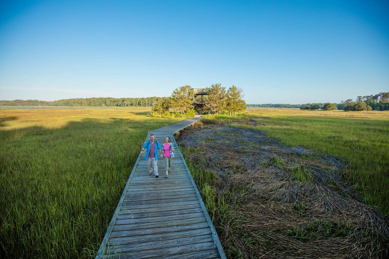 Skidaway Island State Park Savannah