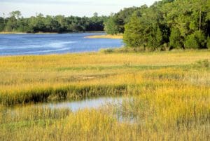 Skidaway Island State Park Savannah