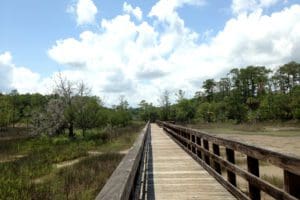 Skidaway Island State Park Savannah