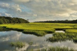 Savannah Skidaway Island State Park