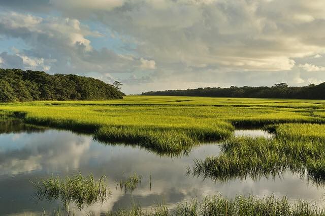 Savannah Skidaway Island State Park